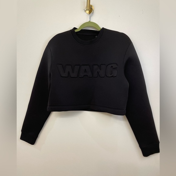 RARE ALEXANDER WANG X H&M||JUMPER SWEATSHIRT SCUBA 100% AUTHENTC S - Picture 3 of 10